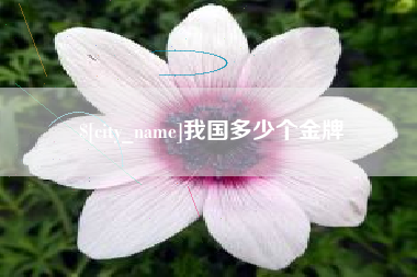 长宁我国多少个金牌