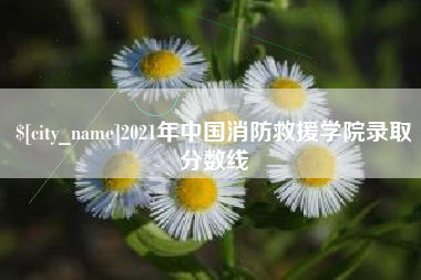 长宁2021年中国消防救援学院录取分数线