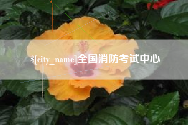 长宁全国消防考试中心