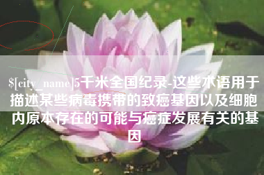 长宁5千米全国纪录-这些术语用于描述某些病毒携带的致癌基因以及细胞内原本存在的可能与癌症发展有关的基因