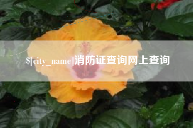 长宁消防证查询网上查询