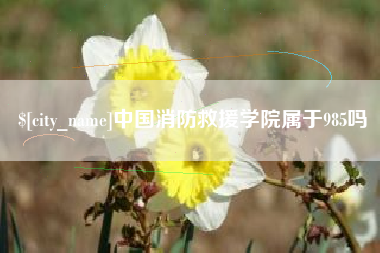 长宁中国消防救援学院属于985吗