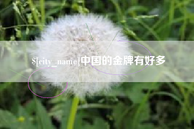 长宁中国的金牌有好多