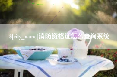 长宁消防资格证怎么查询系统