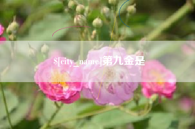 长宁第九金是