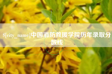 长宁中国消防救援学院历年录取分数线