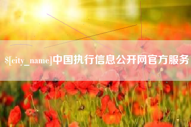 长宁中国执行信息公开网官方服务