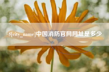 长宁中国消防官网网址是多少