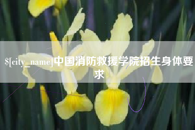 长宁中国消防救援学院招生身体要求