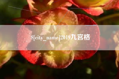 长宁2019九宫格