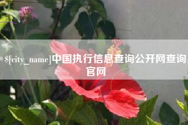 长宁中国执行信息查询公开网查询官网