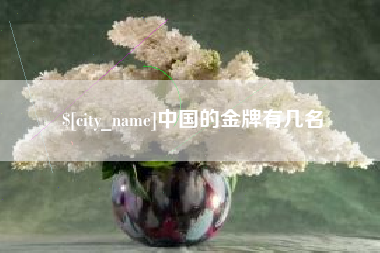 长宁中国的金牌有几名