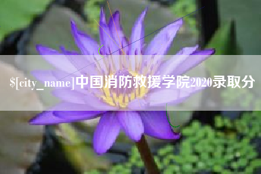 长宁中国消防救援学院2020录取分