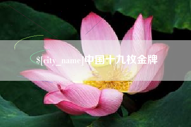 长宁中国十九枚金牌