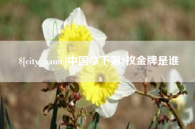 长宁中国拿下第9枚金牌是谁