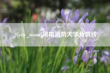 长宁河南消防大学分数线