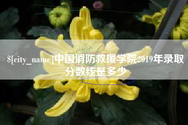 长宁中国消防救援学院2019年录取分数线是多少