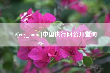长宁中国执行网公开查询