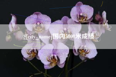 长宁国内5000米成绩