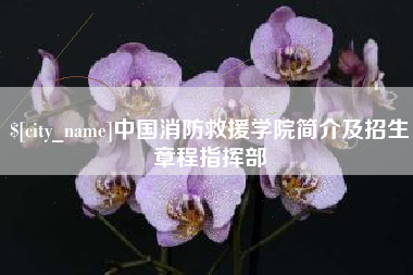 长宁中国消防救援学院简介及招生章程指挥部