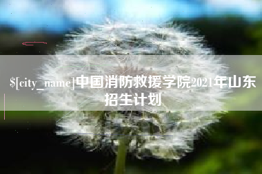 长宁中国消防救援学院2021年山东招生计划