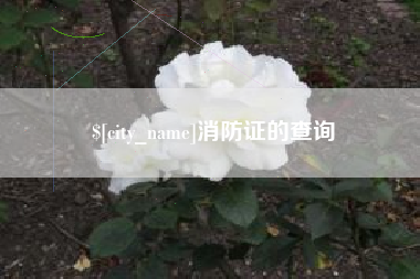 长宁消防证的查询