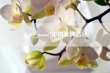 长宁中国金牌估计