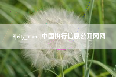 长宁中国执行信息公开网网