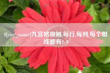 长宁九宫格规则,每行,每列,每个粗线都有1-9