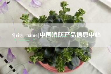 长宁中国消防产品信息中心