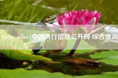 长宁中国执行信息公开网 综合查询
