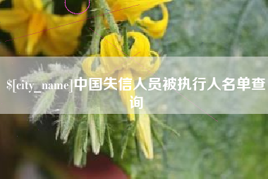 长宁中国失信人员被执行人名单查询