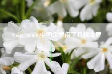 长宁中国金牌得了几枚金牌