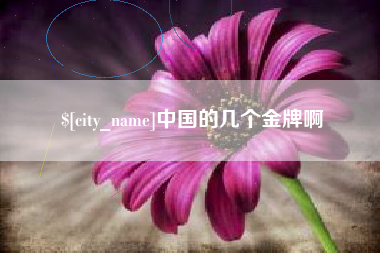 长宁中国的几个金牌啊