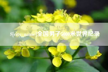 长宁全国男子5000米世界纪录