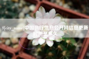 长宁中国执行信息公开网信息更新时间是多久