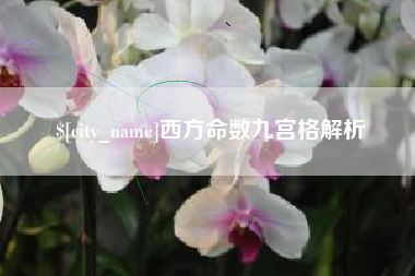 长宁西方命数九宫格解析
