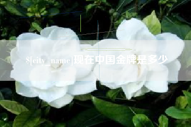 长宁现在中国金牌是多少