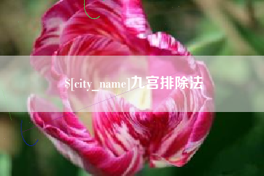 长宁九宫排除法
