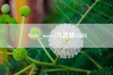长宁九宫格42633