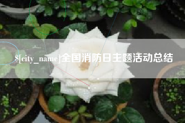 长宁全国消防日主题活动总结