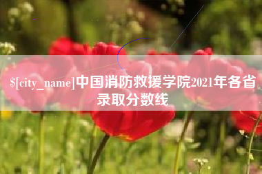 长宁中国消防救援学院2021年各省录取分数线
