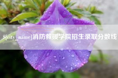 长宁消防救援学院招生录取分数线