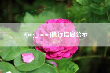 长宁执行信息公示