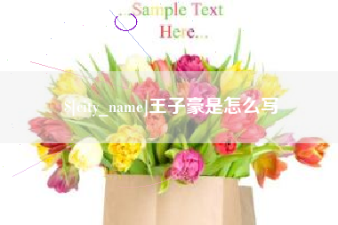 长宁王子豪是怎么写