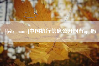 长宁中国执行信息公开网有app吗