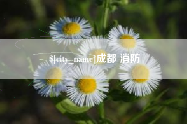 长宁成都 消防