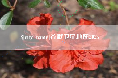 长宁谷歌卫星地图2025