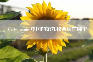 长宁中国的第九枚金牌在哪里