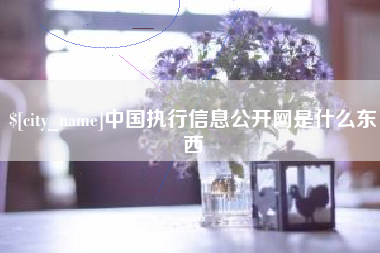 长宁中国执行信息公开网是什么东西